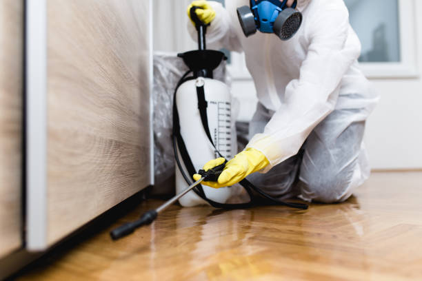 Best Cockroach Control Services  in Great Falls, VA