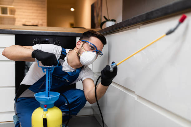 Best Local Pest Control Services  in Great Falls, VA