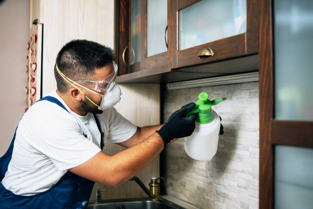  Great Falls, VA Pest Control Pros