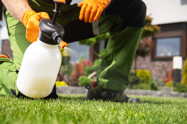 Wasp Removal Services in Great Falls, VA