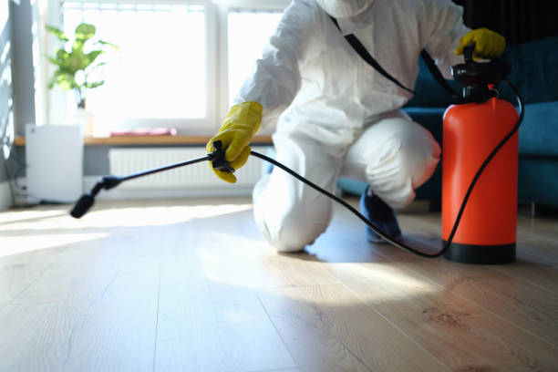 Trusted Great Falls, VA Pest Control Experts