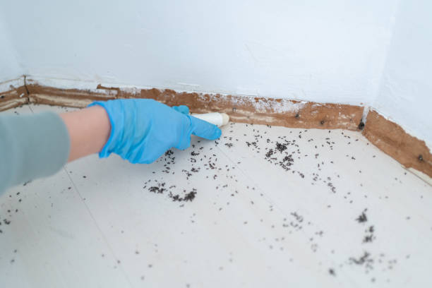 Pest Control for Restaurants in Great Falls, VA