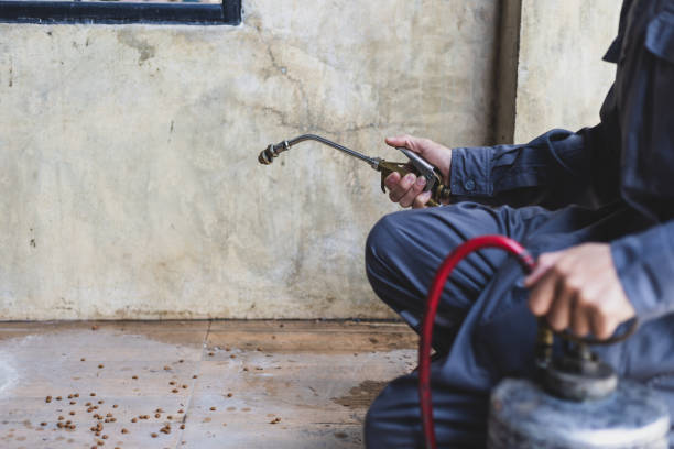 Best Pest Prevention Services  in Great Falls, VA