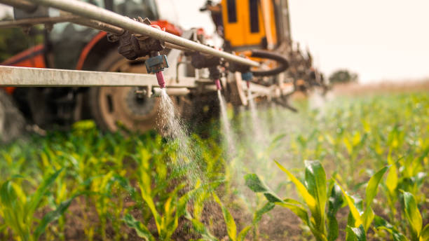 Best Mosquito Control Services  in Great Falls, VA