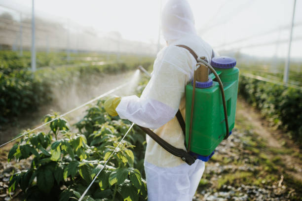 Best Wildlife Control Services  in Great Falls, VA